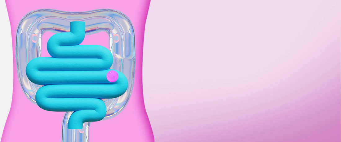 The Secret Behind Every Habit® Supplement: Fibersol-2™